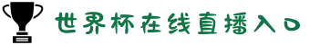世界杯在线直播入口 | 官方观赛平台指南